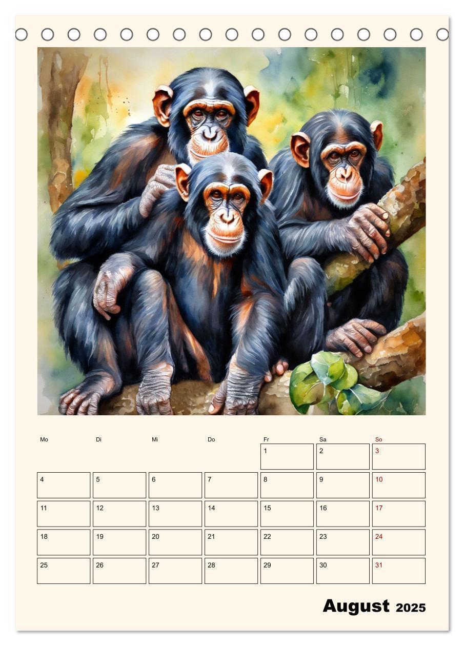 Bild: 9783383820274 | Schimpansen &amp; Gorillas (Tischkalender 2025 DIN A5 hoch), CALVENDO...