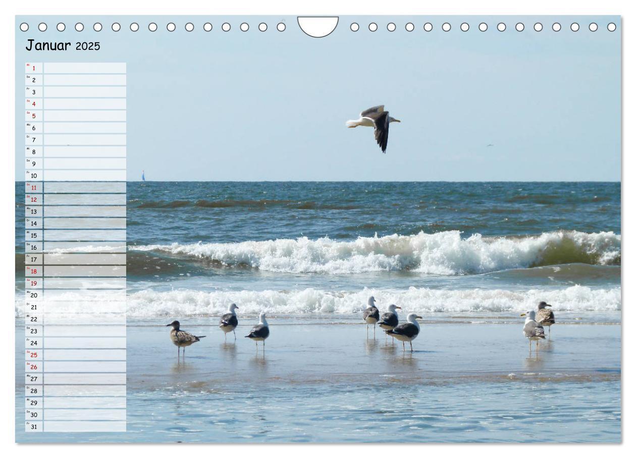 Bild: 9783435275236 | Egmond aan Zee (Wandkalender 2025 DIN A4 quer), CALVENDO...