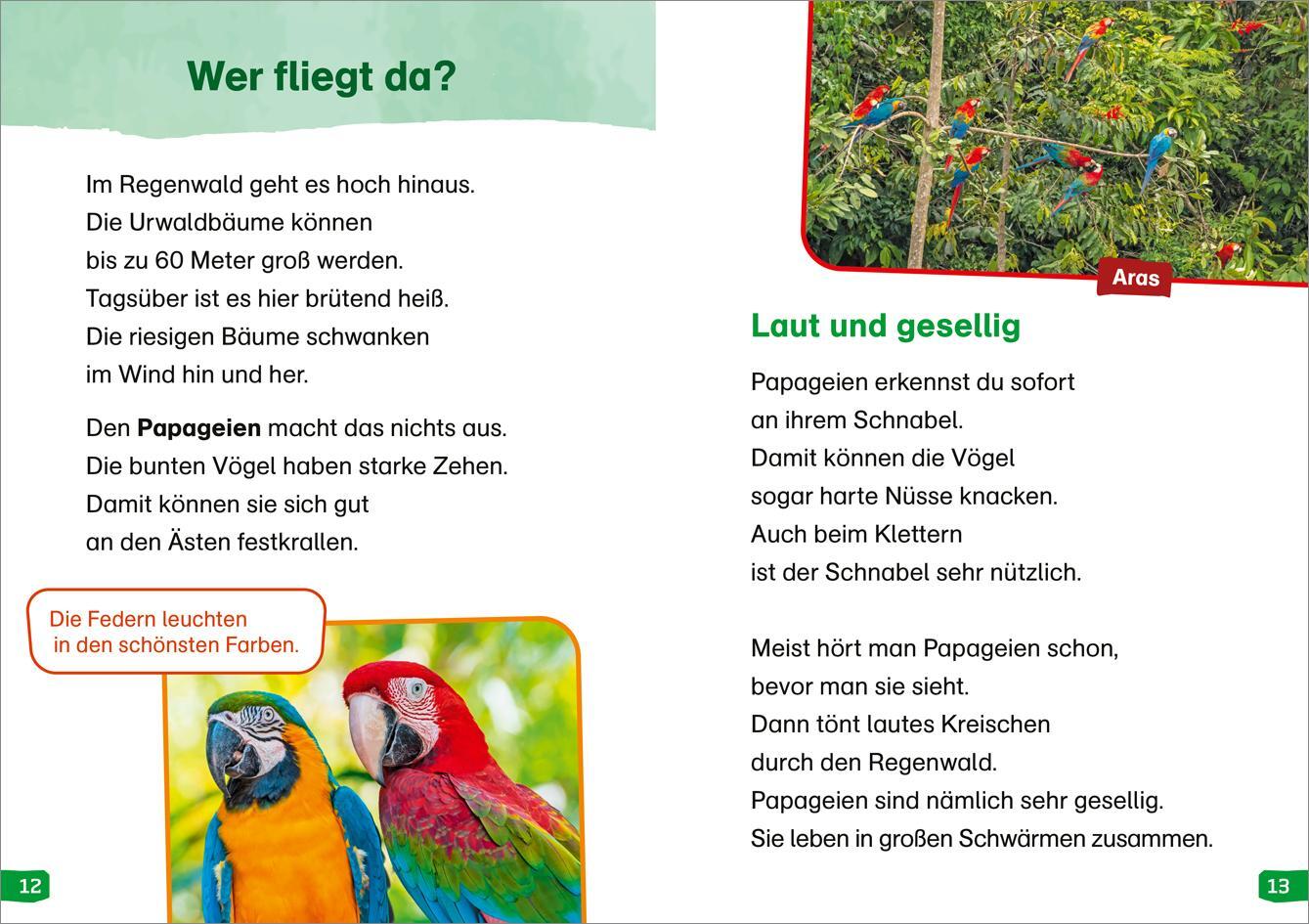 Bild: 9783788677367 | WAS IST WAS Erstes Lesen easy! Band 18. Tiere im Regenwald | Buch