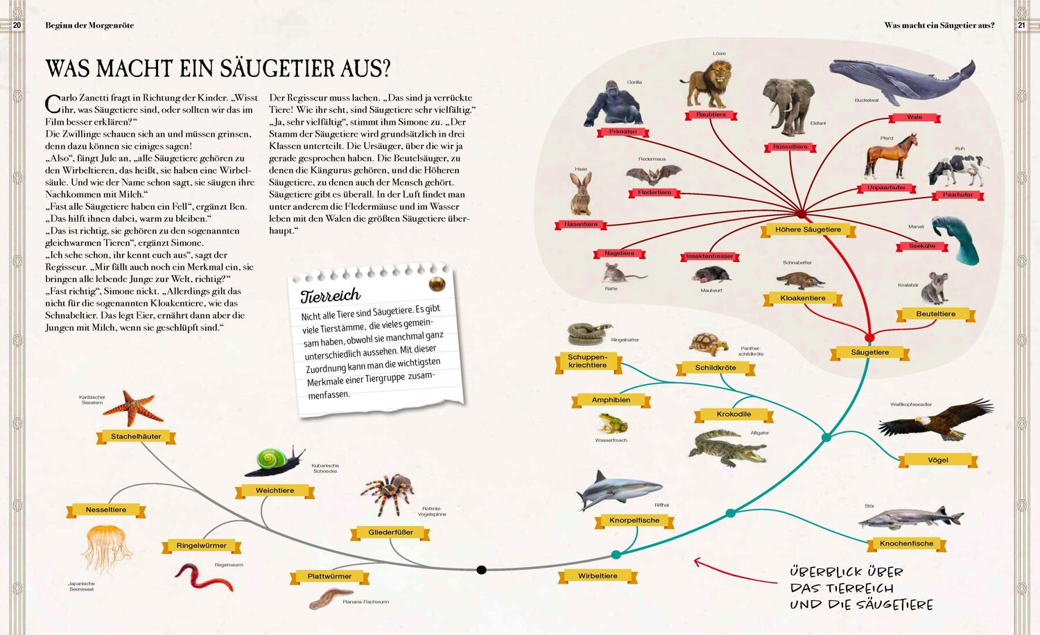 Bild: 9783968080109 | Verborgene Welt der Megafauna | Babette Pribbenow | Buch | 96 S.