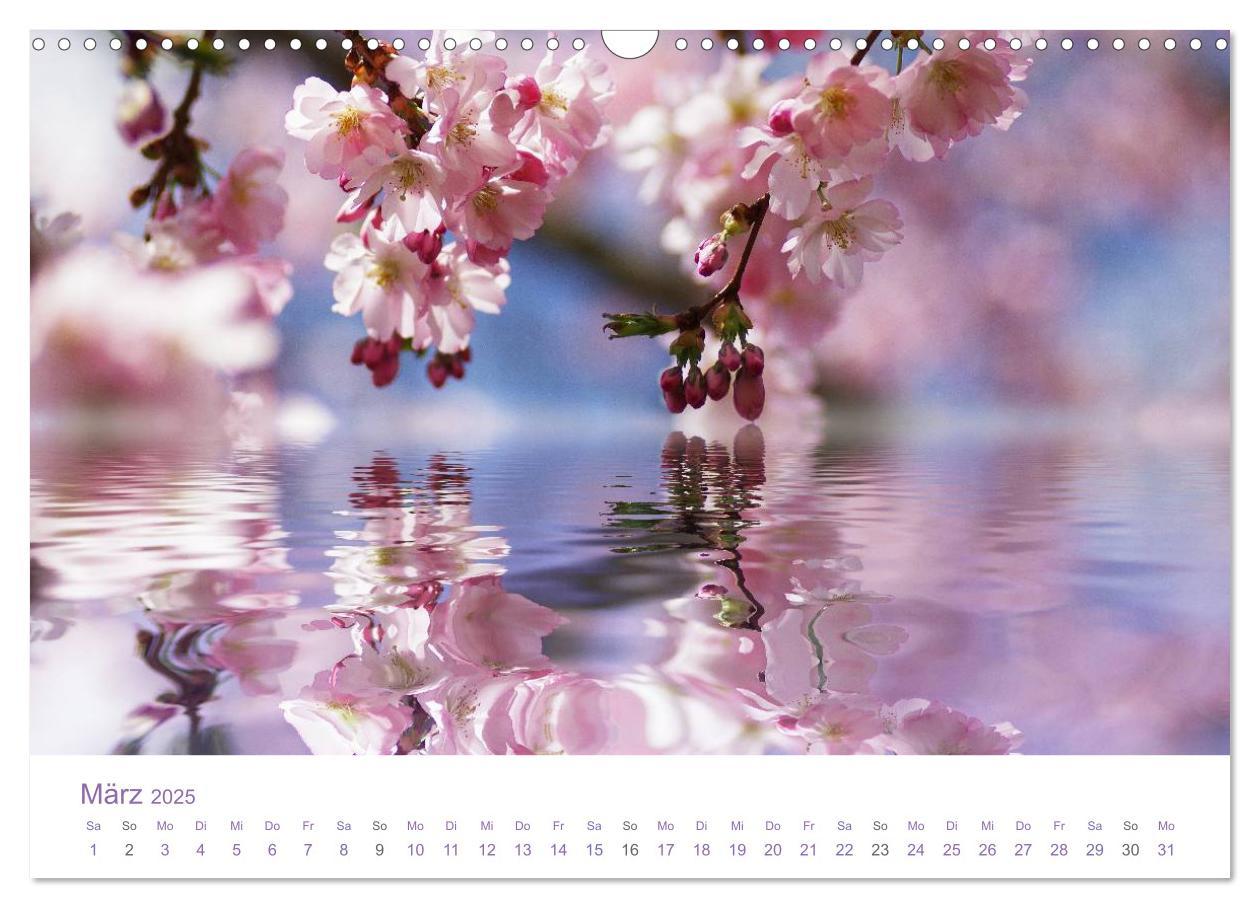 Bild: 9783435810048 | Blumen &amp; Blüten Träume (Wandkalender 2025 DIN A3 quer), CALVENDO...