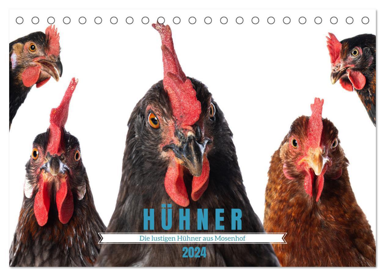 Cover: 9783675596771 | Die lustigen Hühner aus Mosenhof (Tischkalender 2024 DIN A5 quer),...