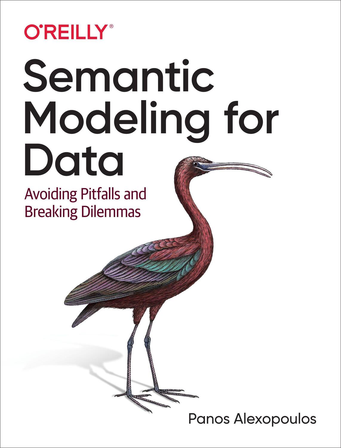 Cover: 9781492054276 | Semantic Modeling for Data | Avoiding Pitfalls and Breaking Dilemmas