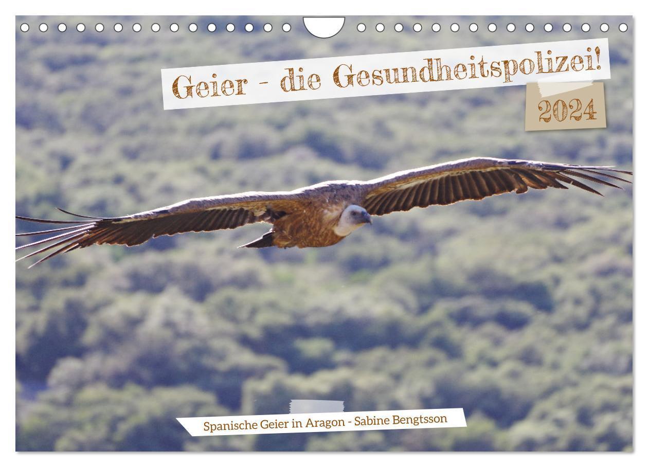 Cover: 9783383720727 | Geier - die Gesundheitspolizei! (Wandkalender 2024 DIN A4 quer),...