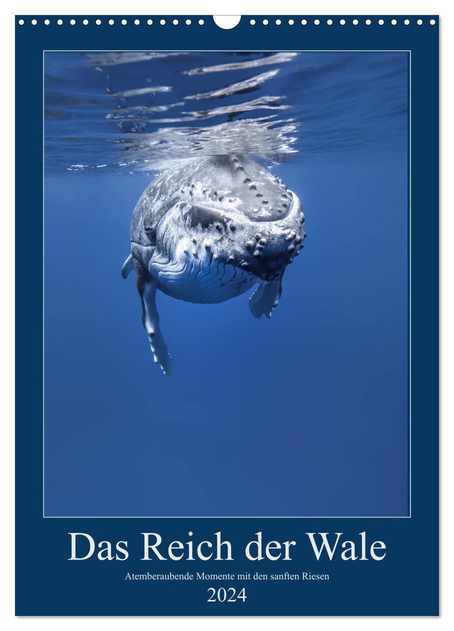 Cover: 9783675458604 | Im Reich der Wale (Wandkalender 2024 DIN A3 hoch), CALVENDO...