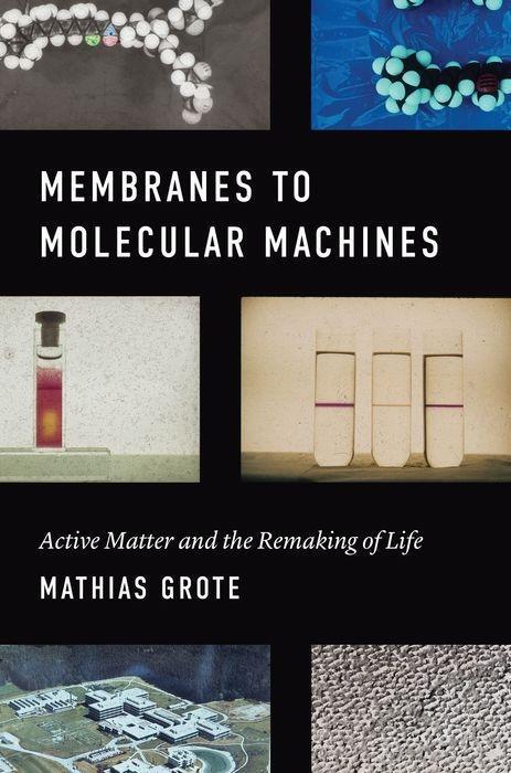 Cover: 9780226625157 | Membranes to Molecular Machines | Mathias Grote | Buch | Synthesis