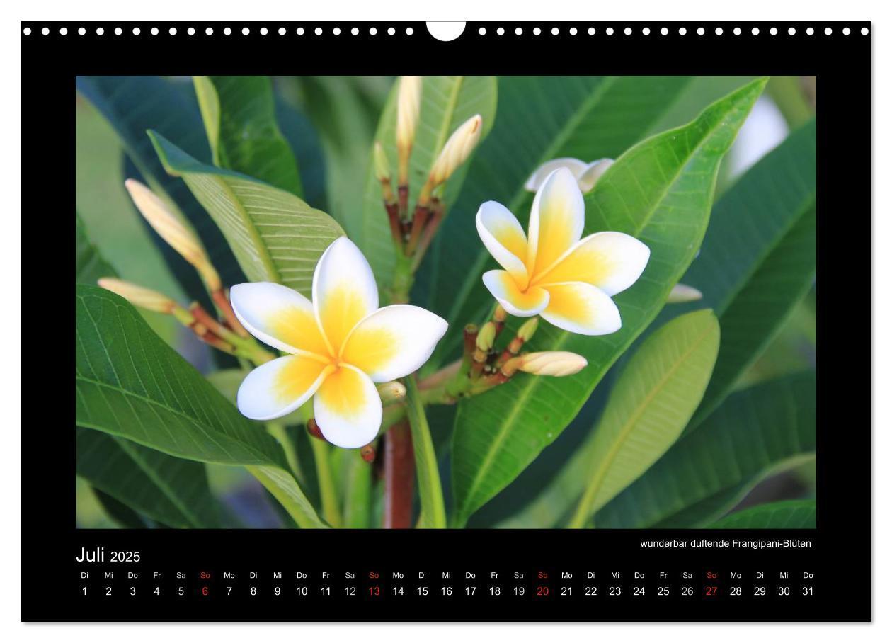 Bild: 9783435823420 | Mauritius - traumhaft und unvergesslich (Wandkalender 2025 DIN A3...