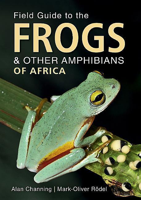 Cover: 9781775845126 | Field Guide to Frogs and Other Amphibians of Africa | Channing (u. a.)