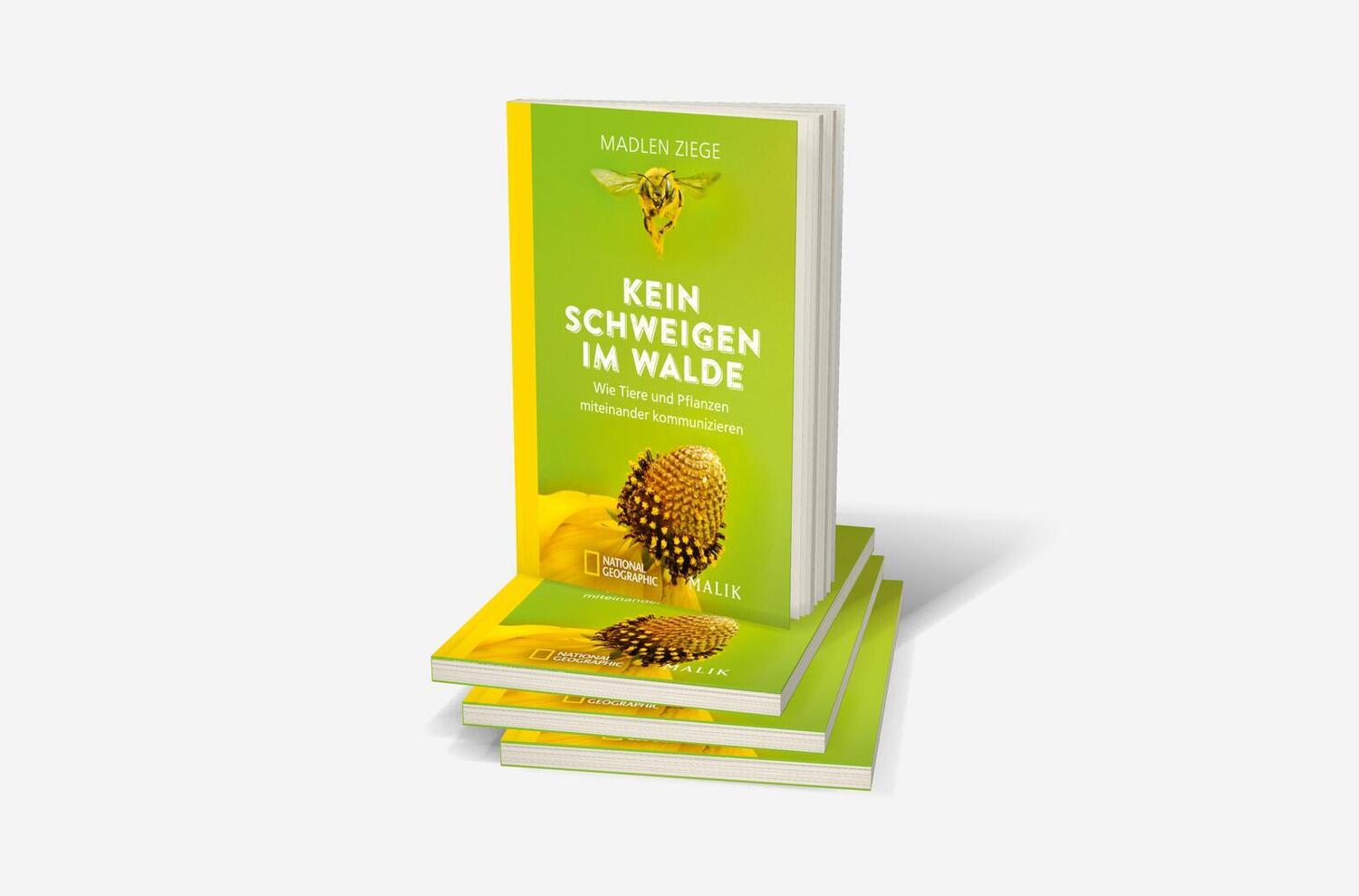 Bild: 9783492406482 | Kein Schweigen im Walde | Madlen Ziege | Taschenbuch | Deutsch | 2021