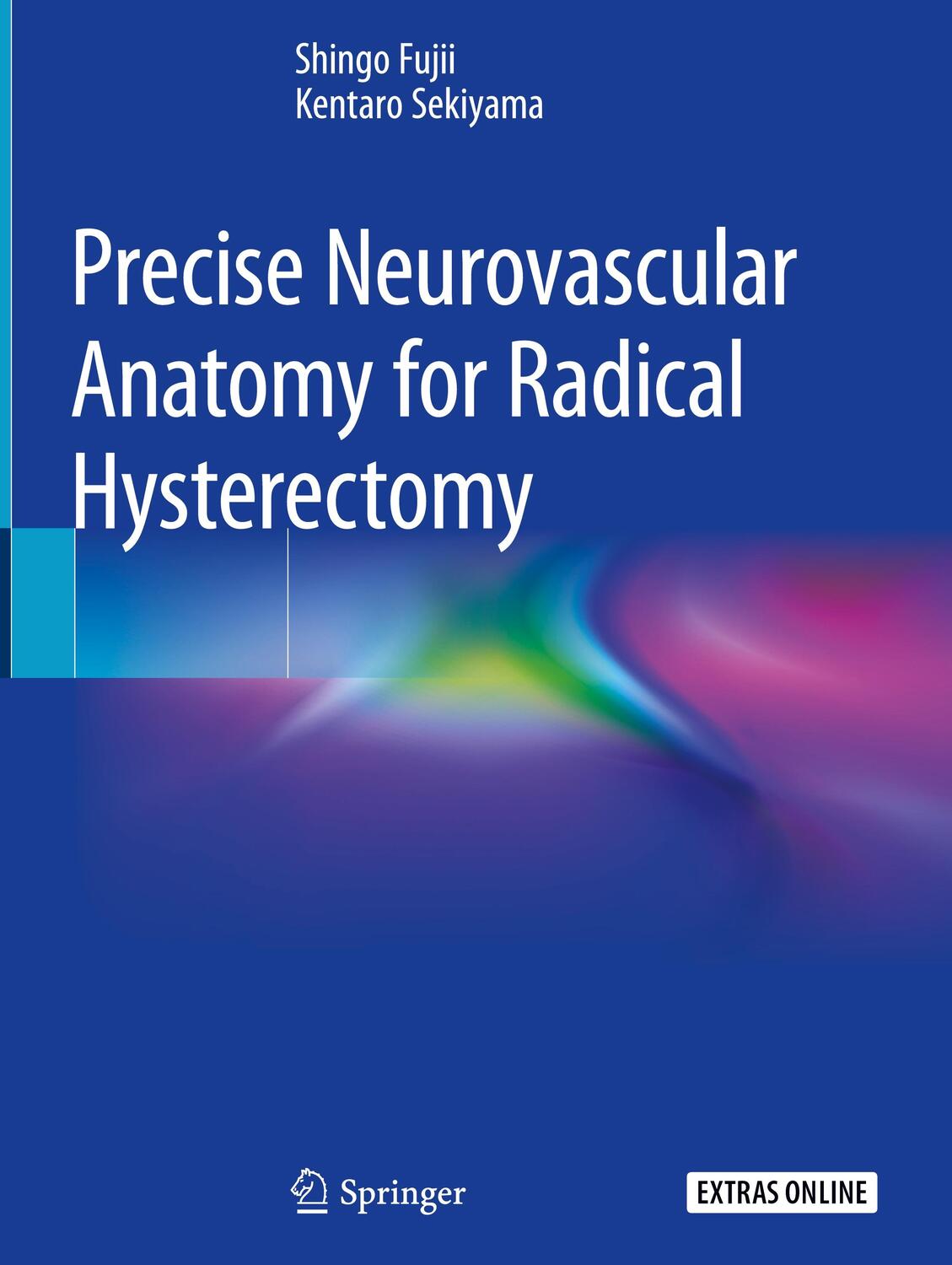 Cover: 9789811380976 | Precise Neurovascular Anatomy for Radical Hysterectomy | Buch | xiv