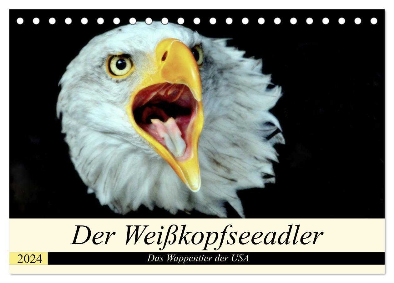 Cover: 9783383064098 | Der Weißkopfseeadler - Das Wappentier der USA (Tischkalender 2024...