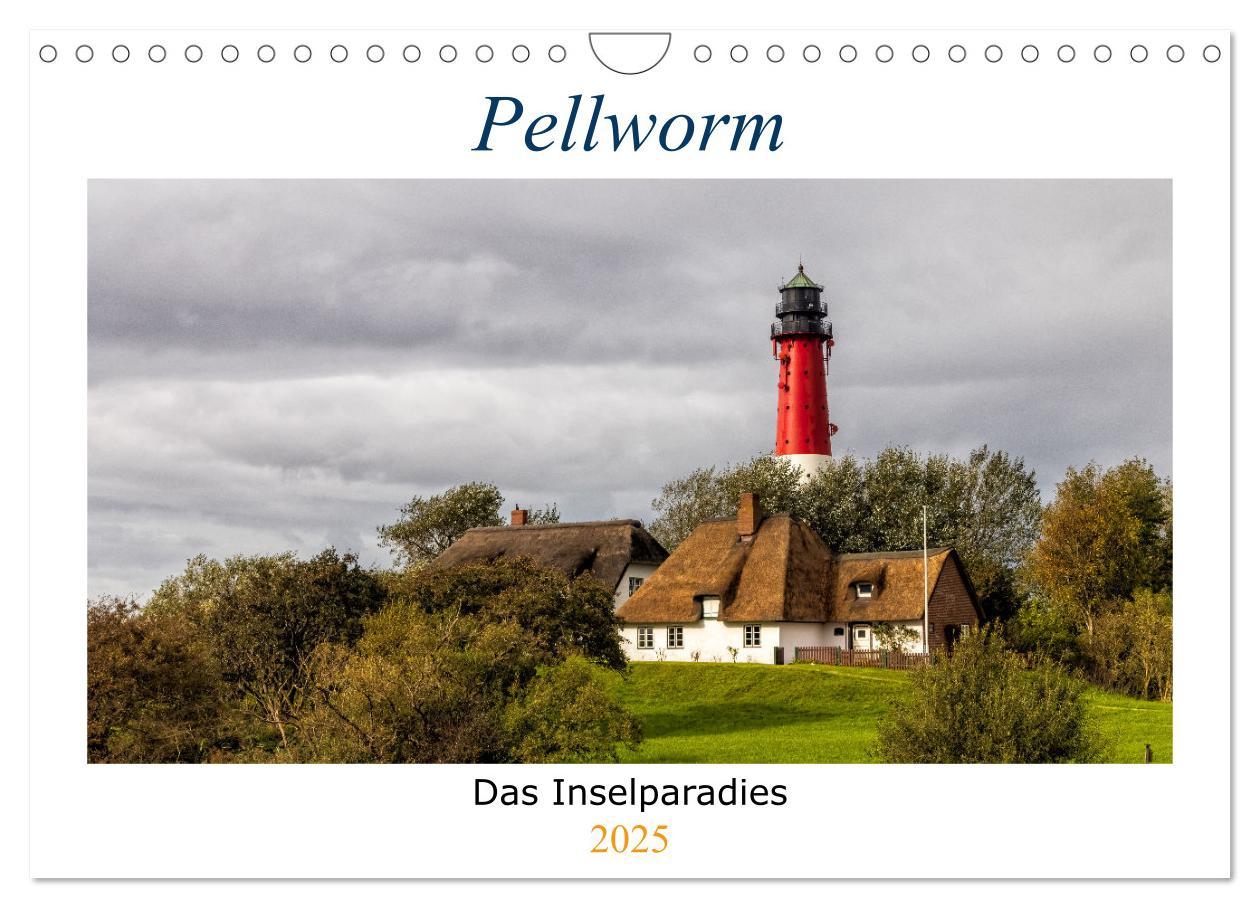 Cover: 9783435000890 | Pellworm - Das Inselparadies (Wandkalender 2025 DIN A4 quer),...