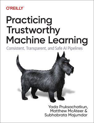 Cover: 9781098120276 | Practicing Trustworthy Machine Learning | Yada Pruksachatkun (u. a.)