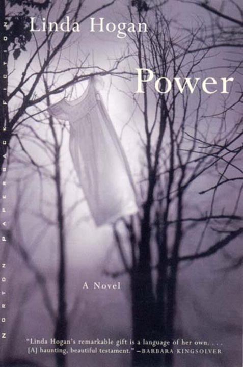 Cover: 9780393319682 | Power | Linda Hogan | Taschenbuch | Englisch | 1999