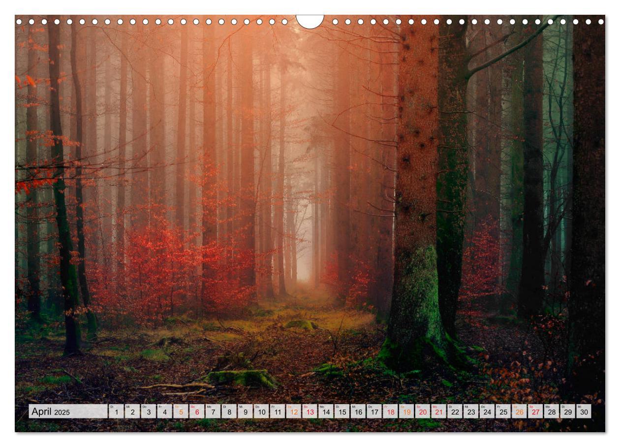 Bild: 9783435071623 | Wald - mystische Spaziergänge (Wandkalender 2025 DIN A3 quer),...