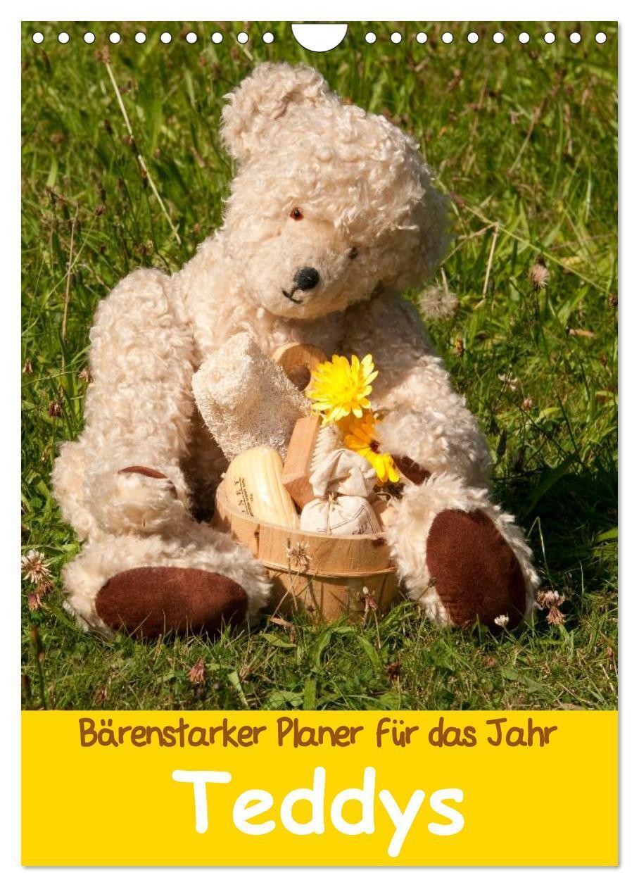 Cover: 9783383373305 | Bärenstarker Planer für das Jahr ¿ Teddys (Wandkalender 2024 DIN A4...