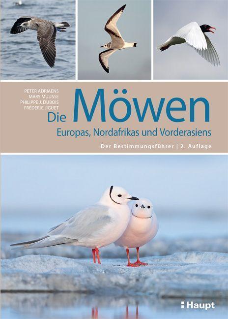Cover: 9783258083537 | Die Möwen Europas, Nordafrikas und Vorderasiens | Adriaens (u. a.)