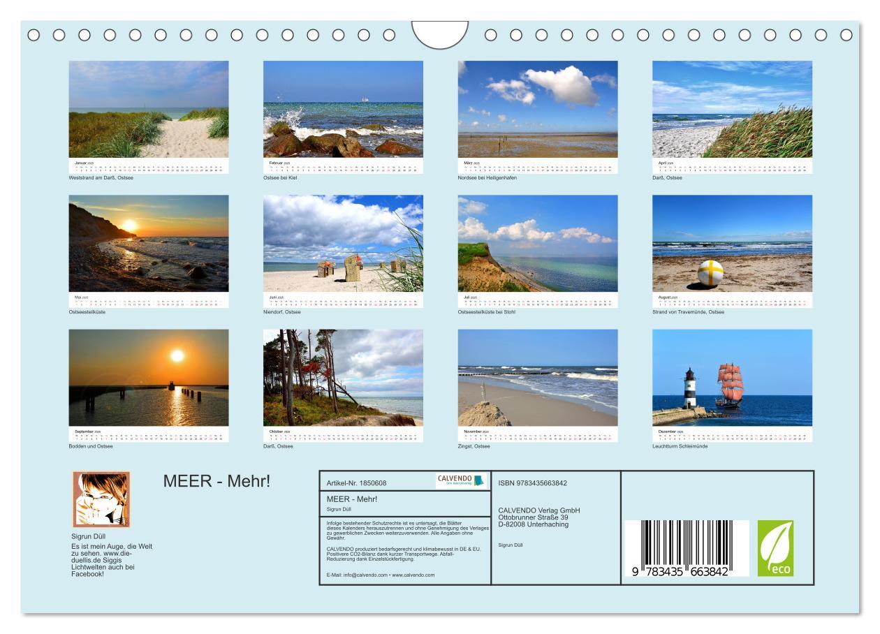 Bild: 9783435663842 | MEER - Mehr! (Wandkalender 2025 DIN A4 quer), CALVENDO Monatskalender