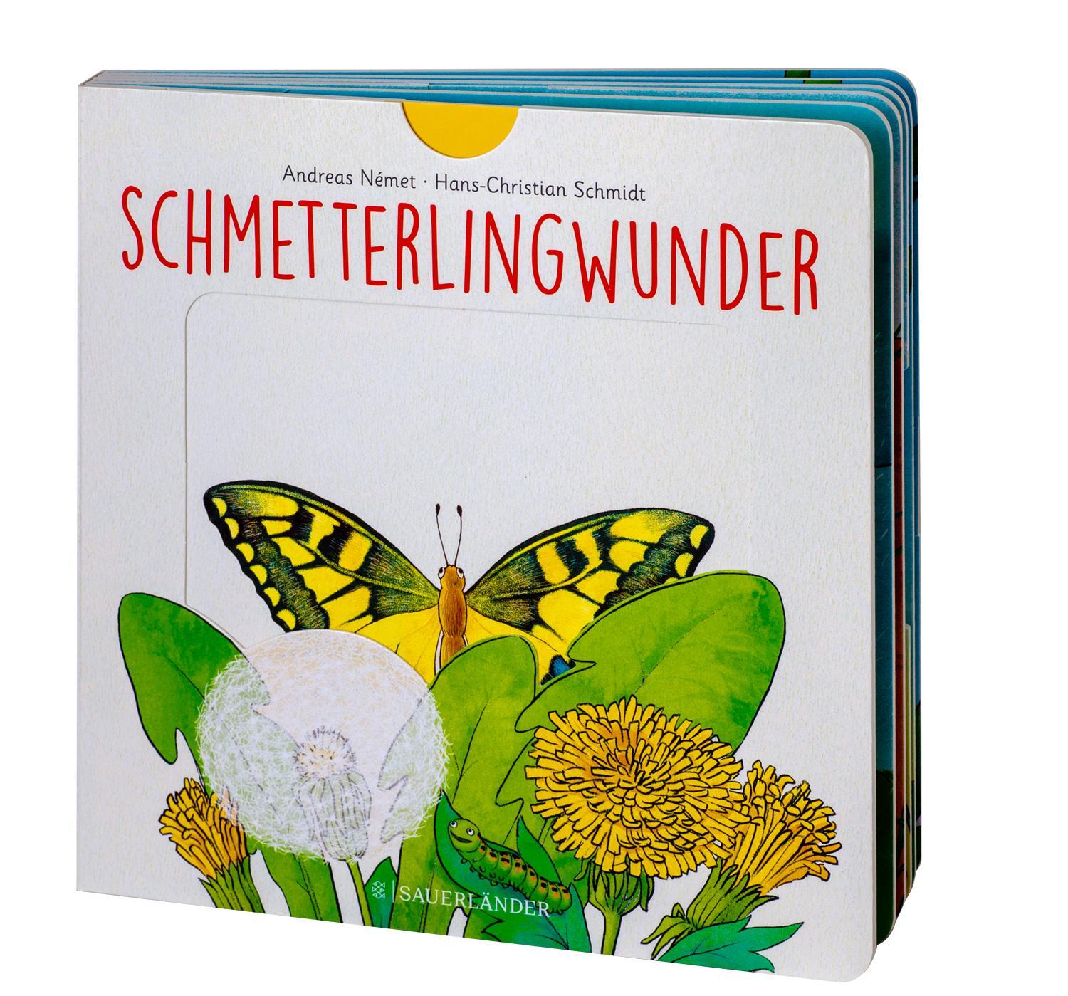 Bild: 9783737356954 | Schmetterlingwunder | Hans-Christian Schmidt | Buch | 12 S. | Deutsch