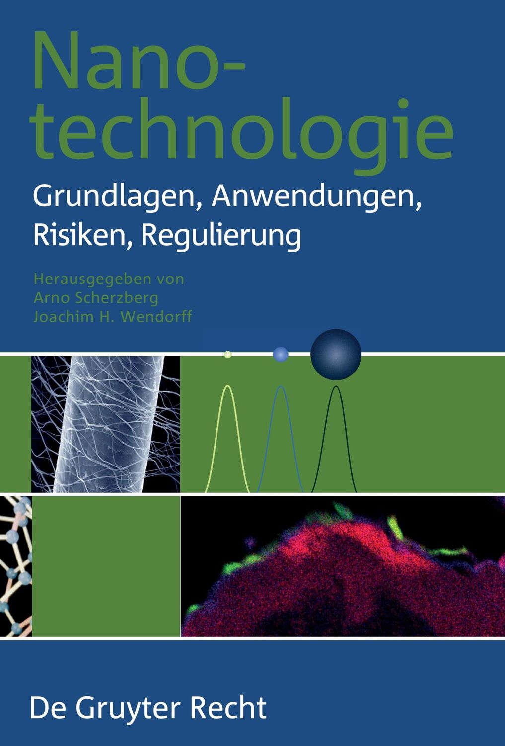 Cover: 9783899495447 | Nanotechnologie | Grundlagen, Anwendungen, Risiken, Regulierung | Buch