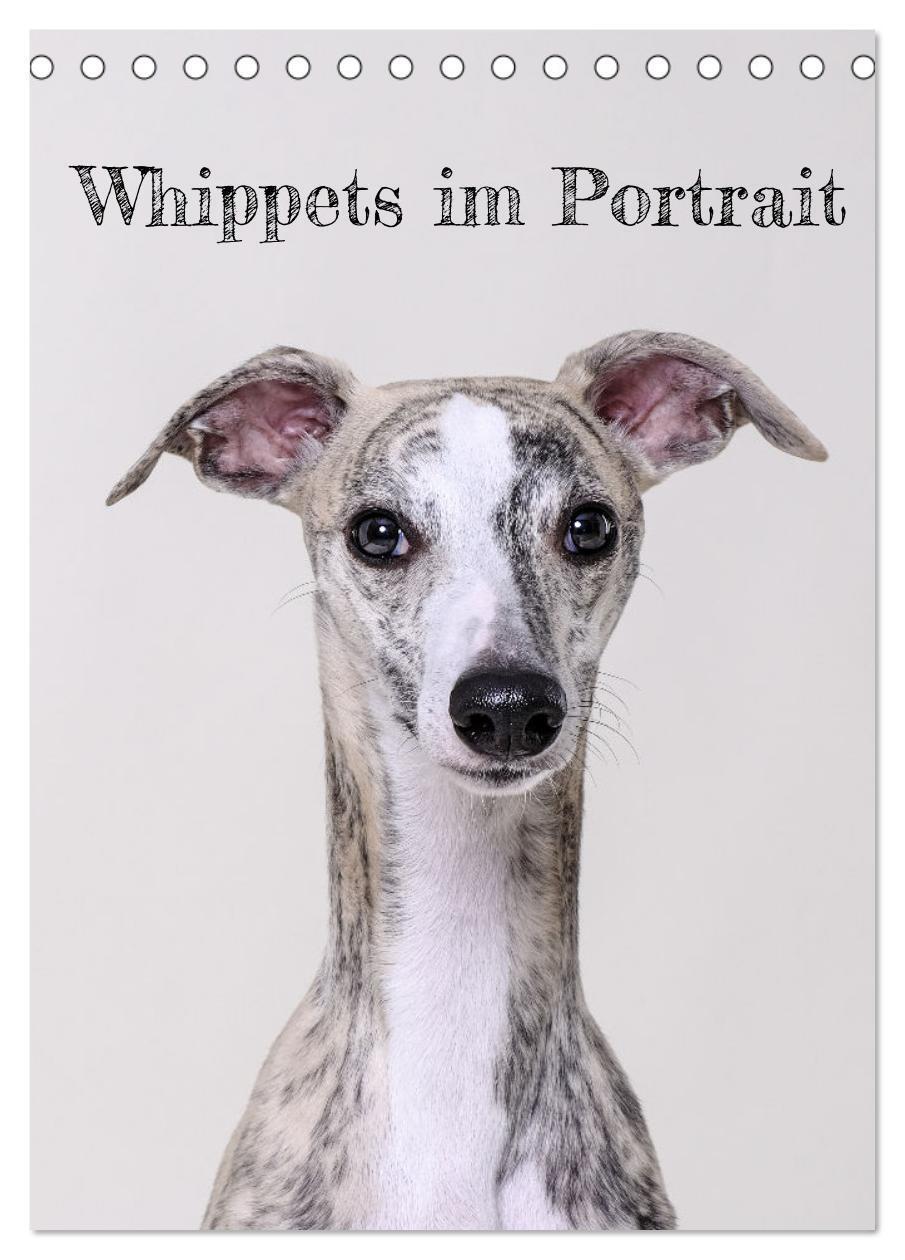 Cover: 9783383671678 | Whippets im Portrait (Tischkalender 2024 DIN A5 hoch), CALVENDO...