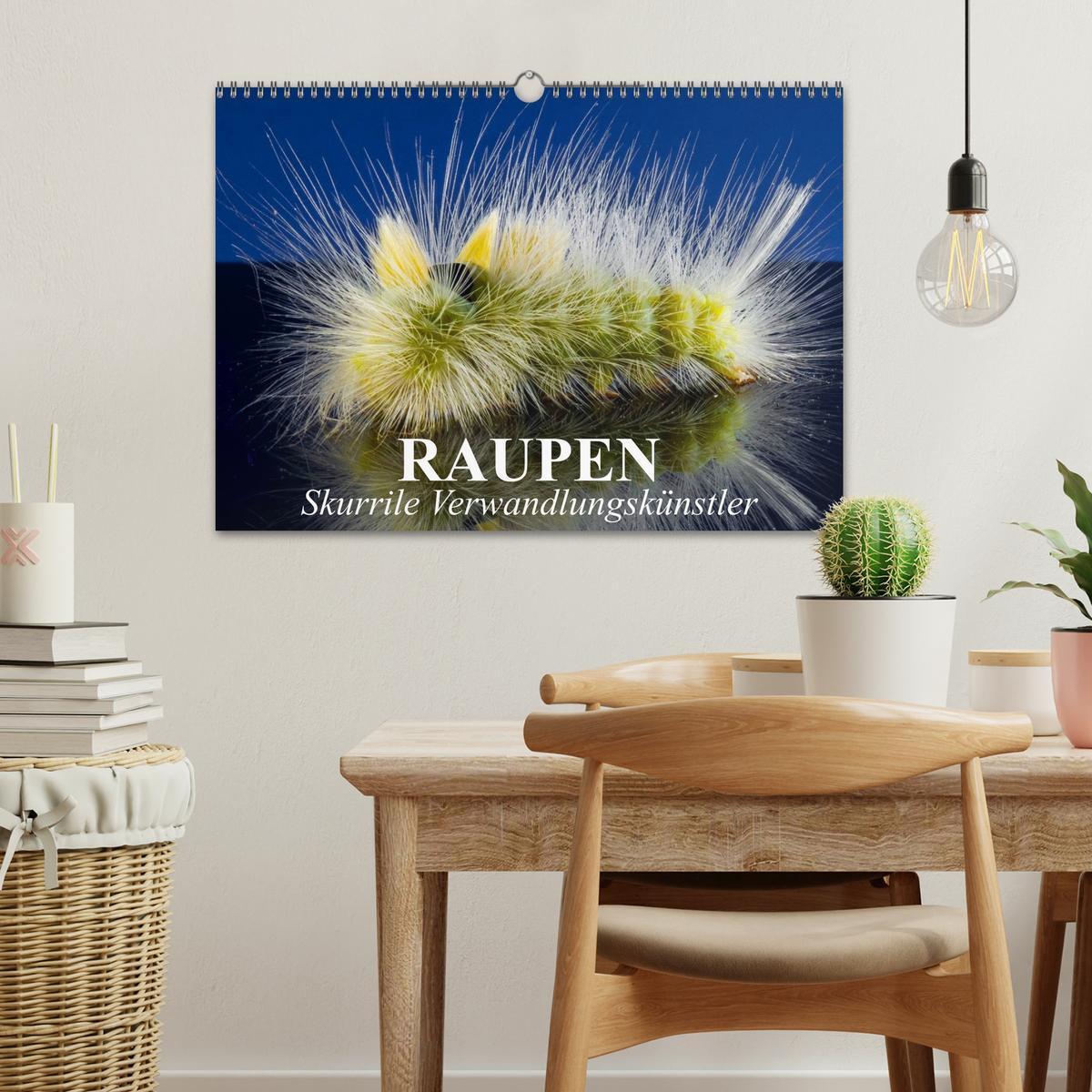 Bild: 9783435649525 | Raupen - Skurrile Verwandlungskünstler (Wandkalender 2025 DIN A3...