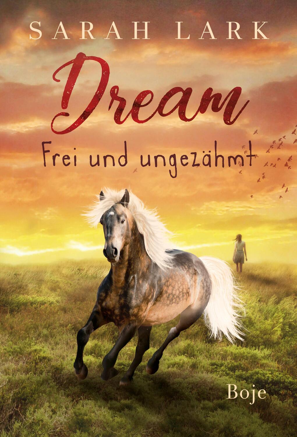 Cover: 9783414825070 | Dream - Frei und ungezähmt | Sarah Lark | Buch | 416 S. | Deutsch
