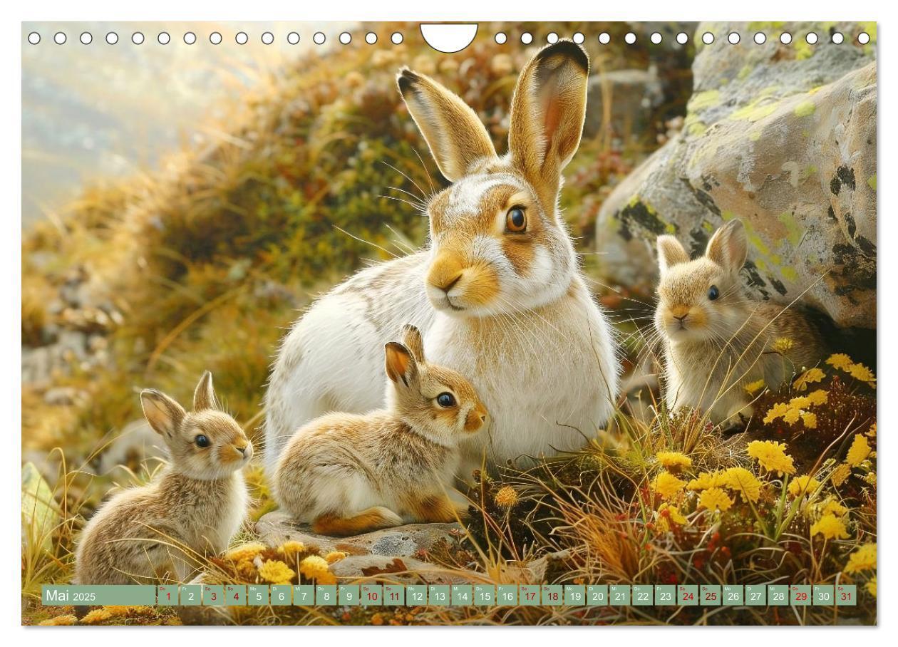 Bild: 9783383789182 | Tierkinder des Nordens (Wandkalender 2025 DIN A4 quer), CALVENDO...