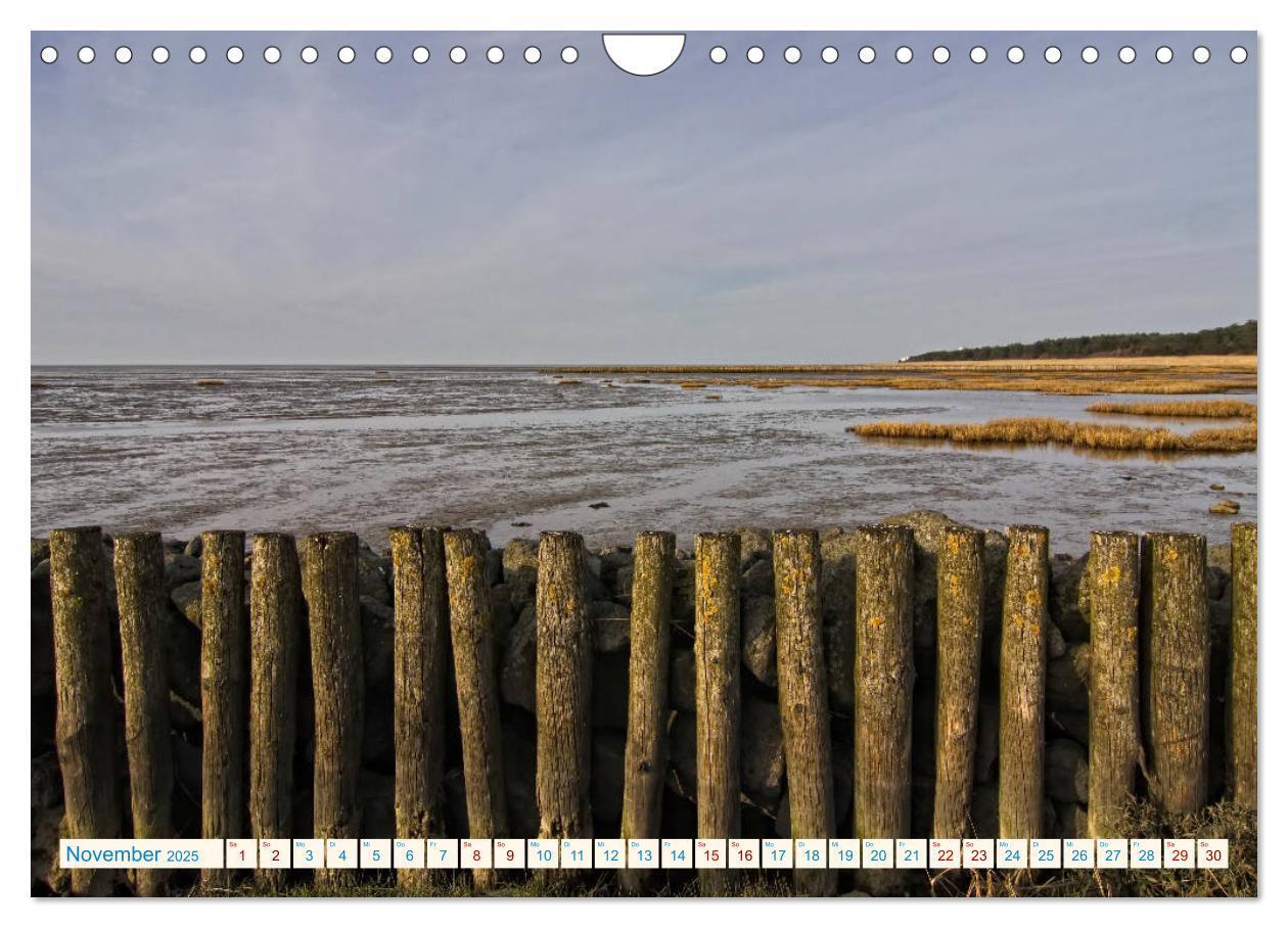 Bild: 9783435428762 | Cuxhaven, Landschaften zwischen Küste und Heide (Wandkalender 2025...