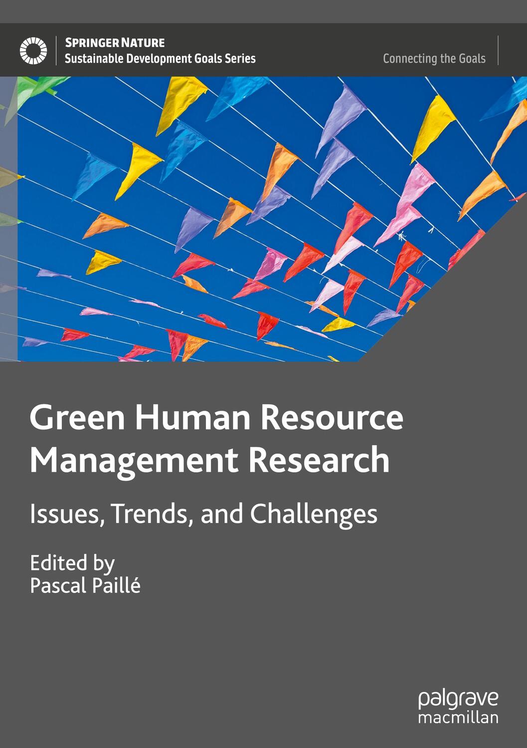 Cover: 9783031065576 | Green Human Resource Management Research | Pascal Paillé | Buch | XVI