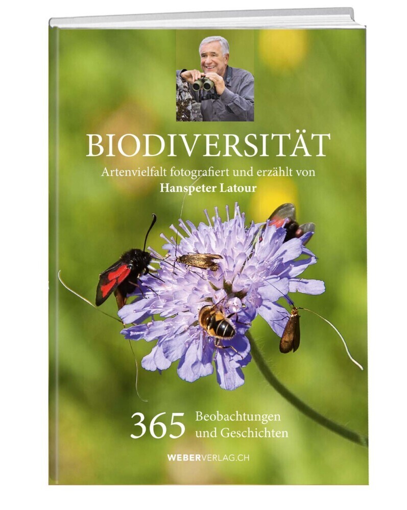 Cover: 9783038183815 | Biodiversität | 365 Beobachtungen und Geschichten | Hanspeter Latour
