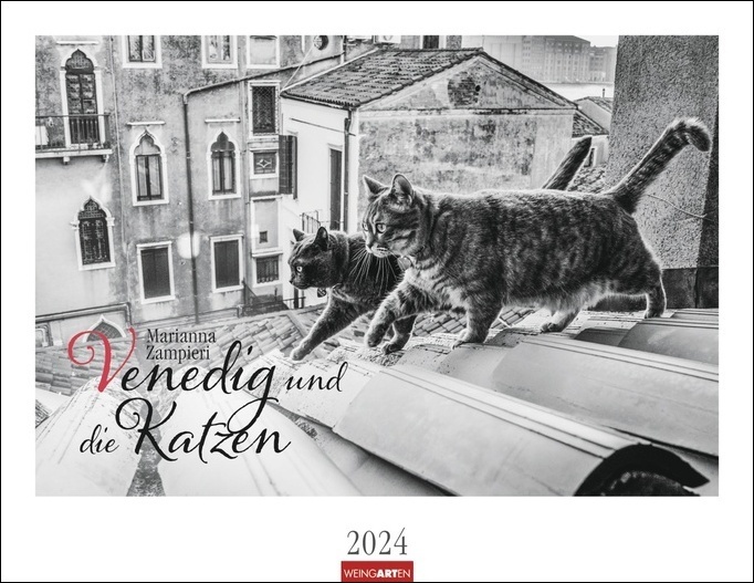 Cover: 9783840085444 | Venedig und die Katzen Kalender 2024. Samtpfoten in der...