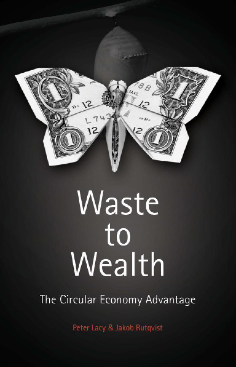 Cover: 9781137530684 | Waste to Wealth | The Circular Economy Advantage | Peter Lacy (u. a.)