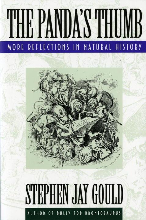 Cover: 9780393308198 | The Panda's Thumb | More Reflections in Natural History | Gould | Buch