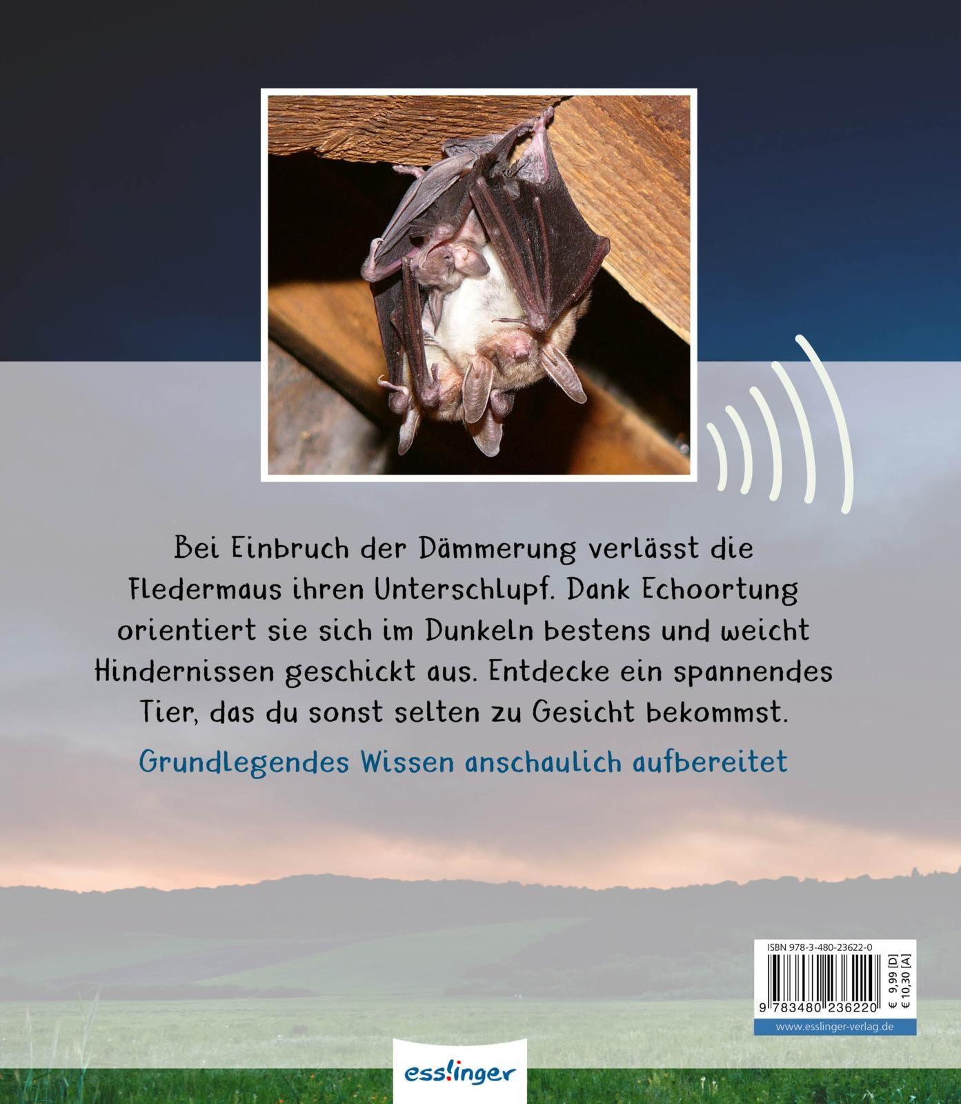 Rückseite: 9783480236220 | Meine große Tierbibliothek: Die Fledermaus | Jens Poschadel (u. a.)