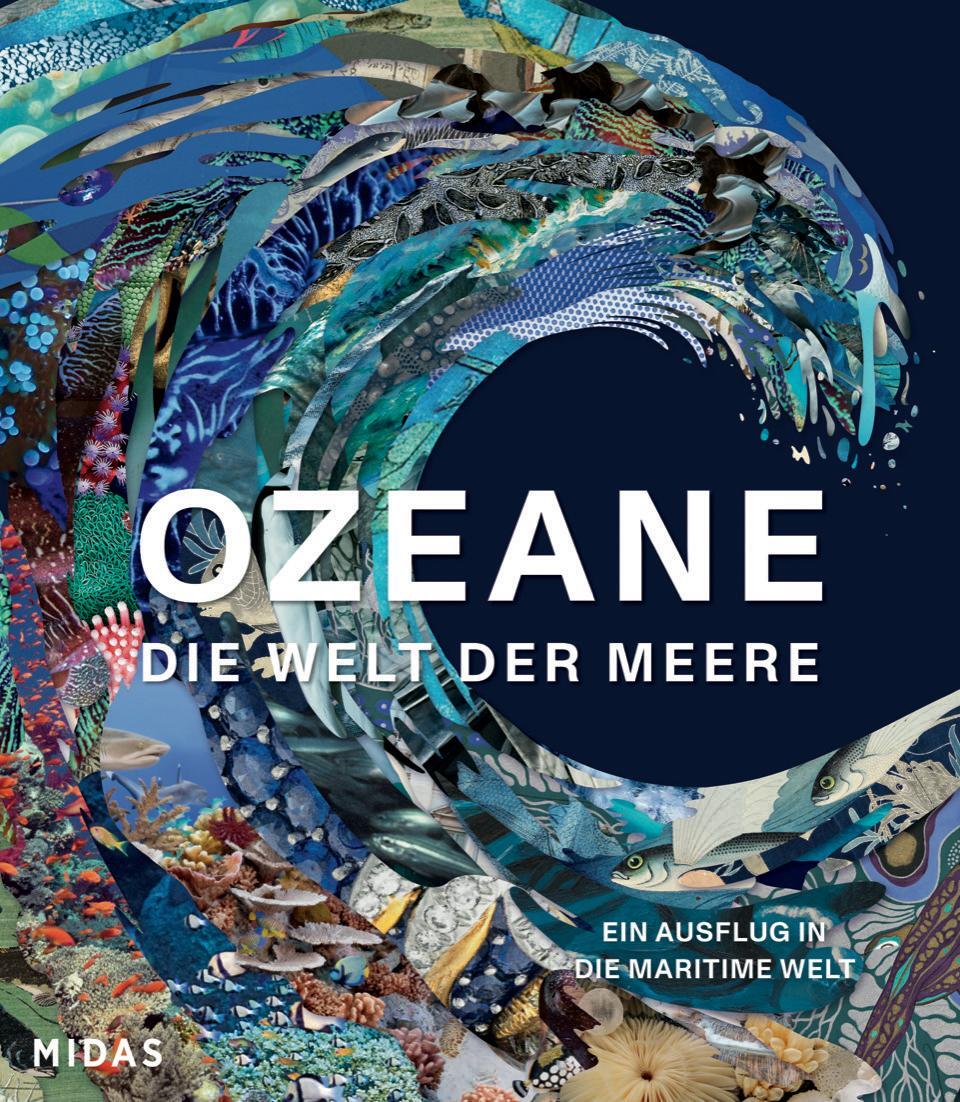 Cover: 9783038763000 | OZEANE - Die Welt der Meere | Ein Ausflug in die maritime Welt | Buch