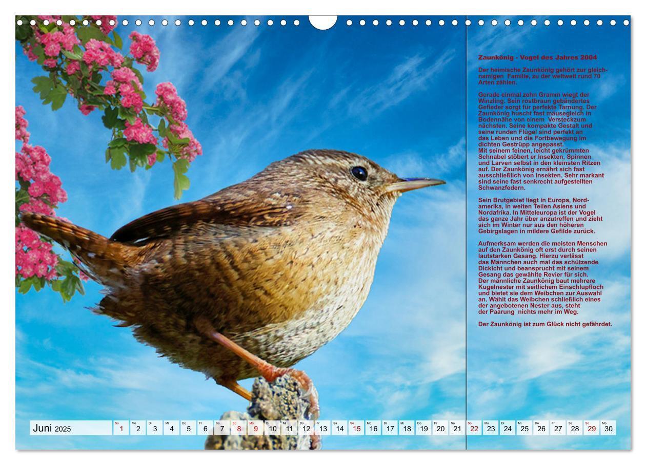 Bild: 9783383896736 | Heimische Vögel des Jahres (Wandkalender 2025 DIN A3 quer),...