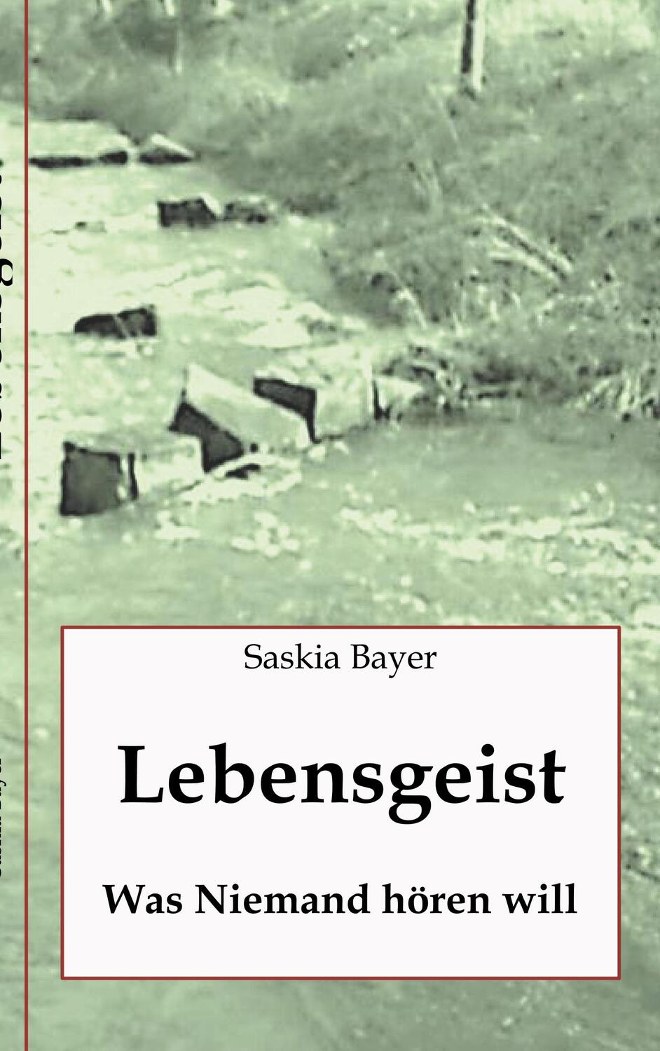 Cover: 9783752899214 | Lebensgeist | Was Niemand hören will | Saskia Bayer | Taschenbuch
