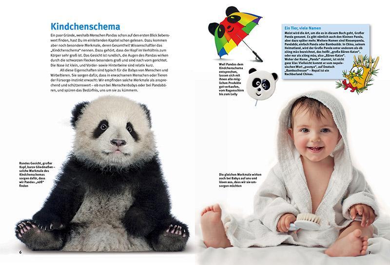 Bild: 9783866594098 | Entdecke die Pandas | Eveline Dungl (u. a.) | Buch | 64 S. | Deutsch