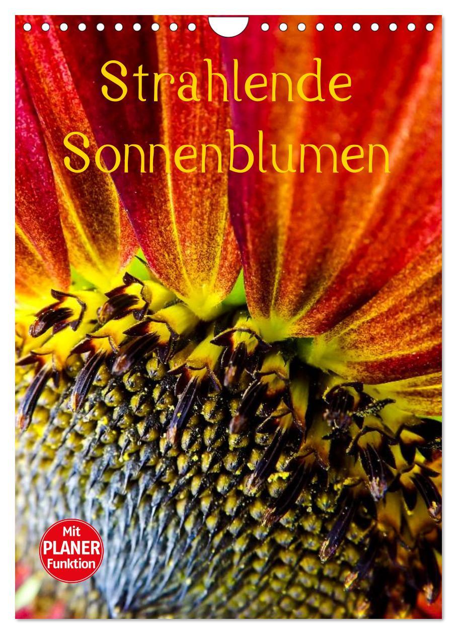 Cover: 9783457005170 | Strahlende Sonnenblumen (Wandkalender 2025 DIN A4 hoch), CALVENDO...