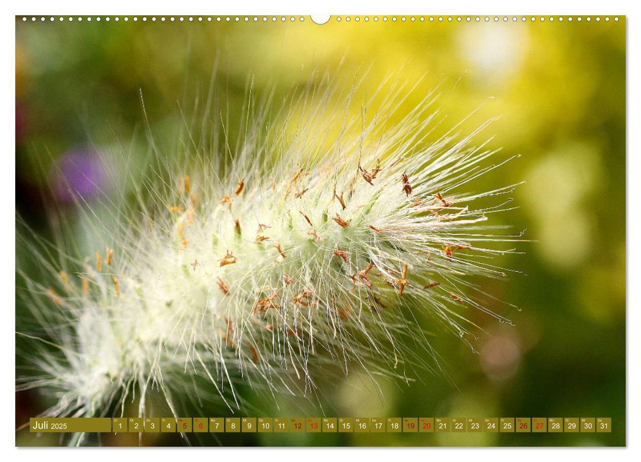 Bild: 9783383996276 | Natur, die bezaubert (Wandkalender 2025 DIN A2 quer), CALVENDO...