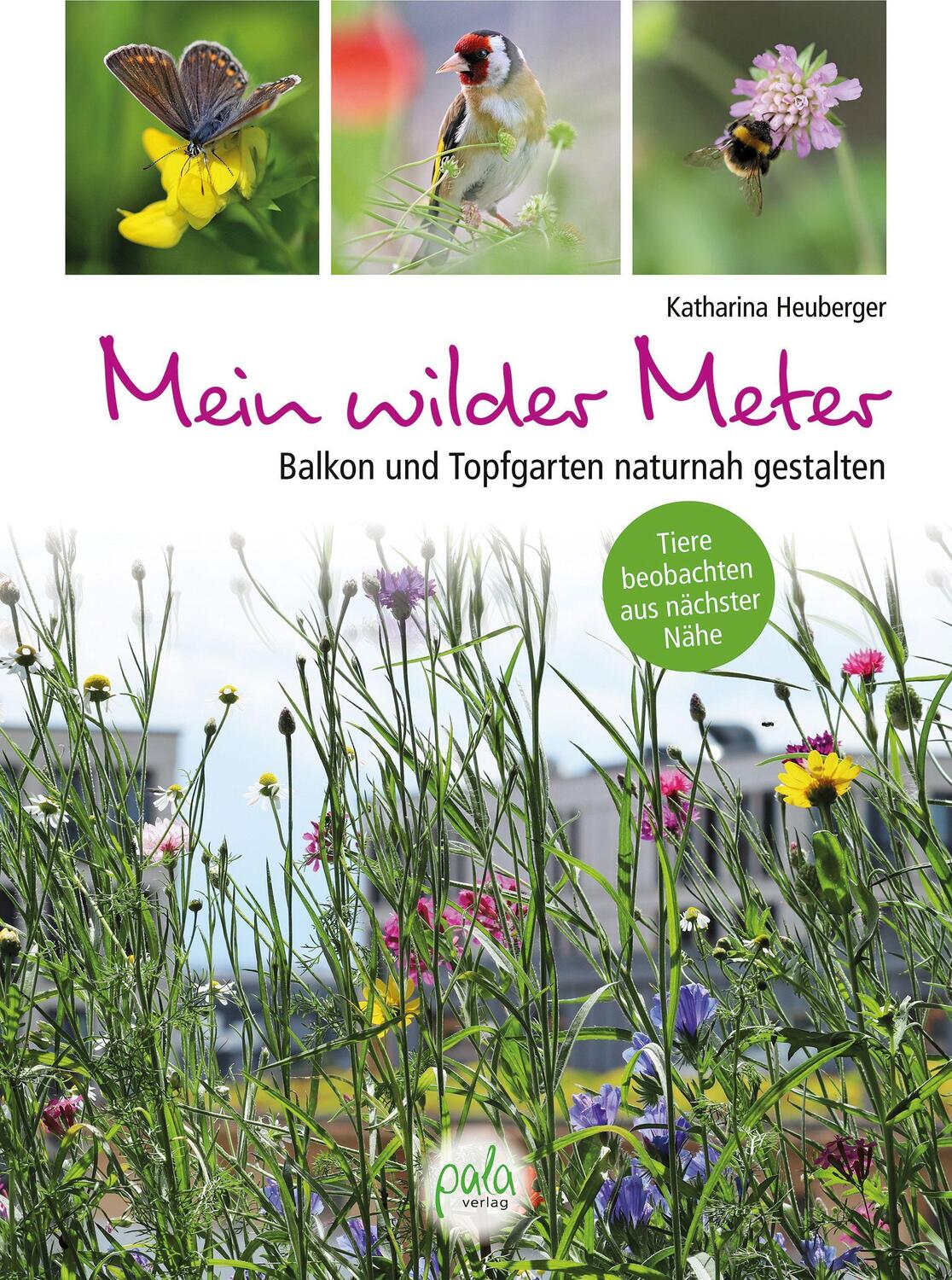 Cover: 9783895664281 | Mein wilder Meter | Katharina Heuberger | Buch | 160 S. | Deutsch