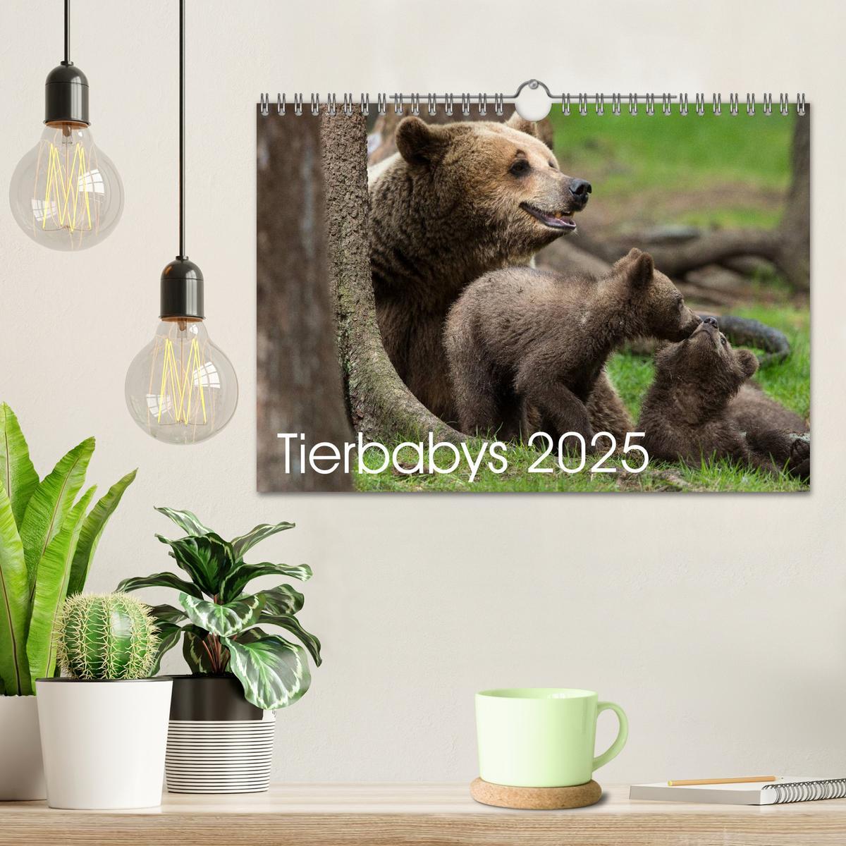 Bild: 9783435563289 | Tierbabys 2025 (Wandkalender 2025 DIN A4 quer), CALVENDO...