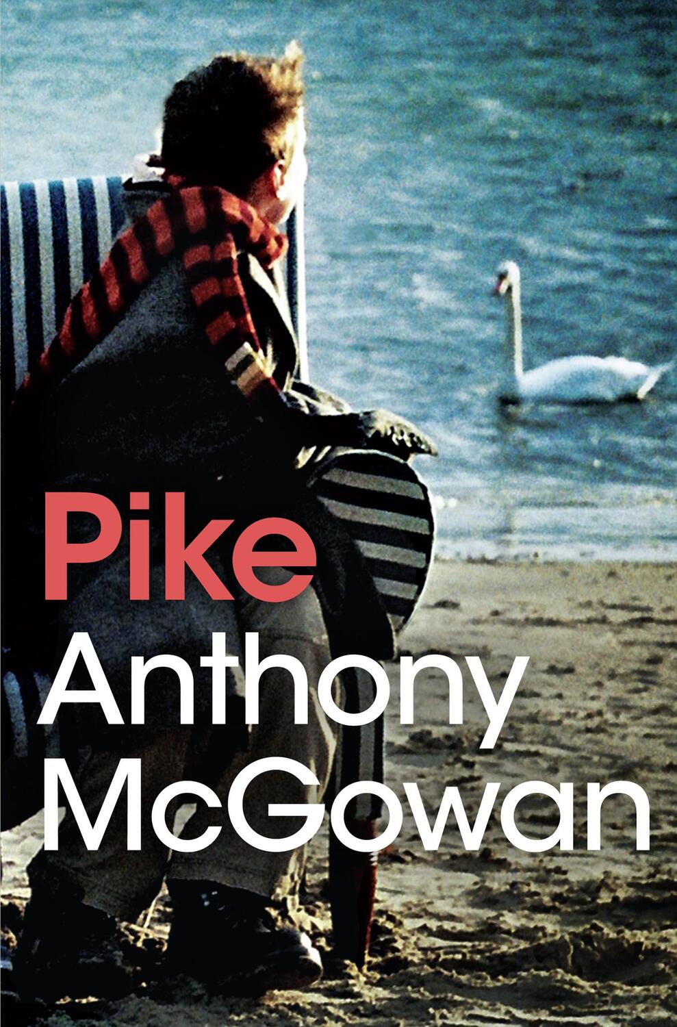 Cover: 9781781124666 | Pike | Anthony McGowan | Taschenbuch | The Truth of Things | 120 S.