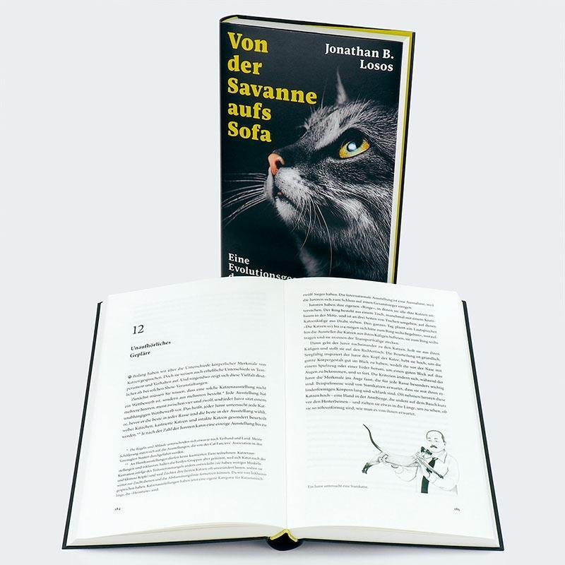 Bild: 9783446277632 | Von der Savanne aufs Sofa | Eine Evolutionsgeschichte der Katze | Buch