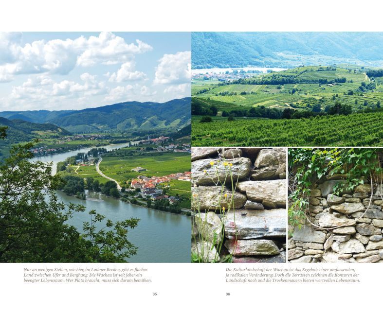 Bild: 9783709970942 | Österreich von innen: Wachau | Alfred Komarek | Taschenbuch
