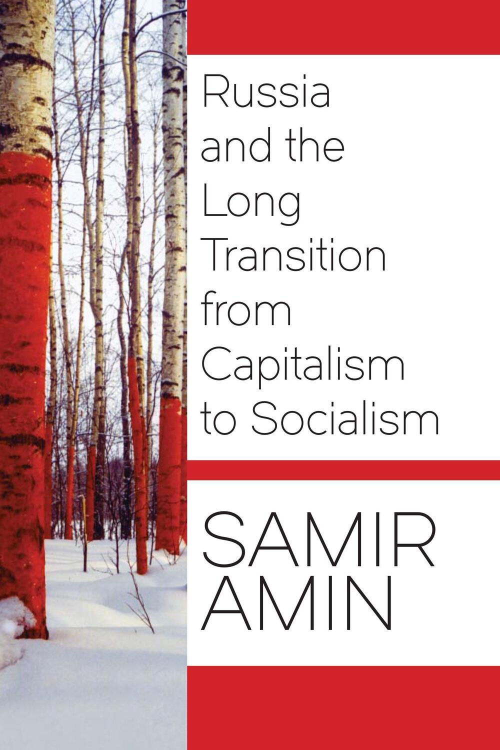 Cover: 9781583676011 | Russia and the Long Transition from Capitalism to Socialism | Amin