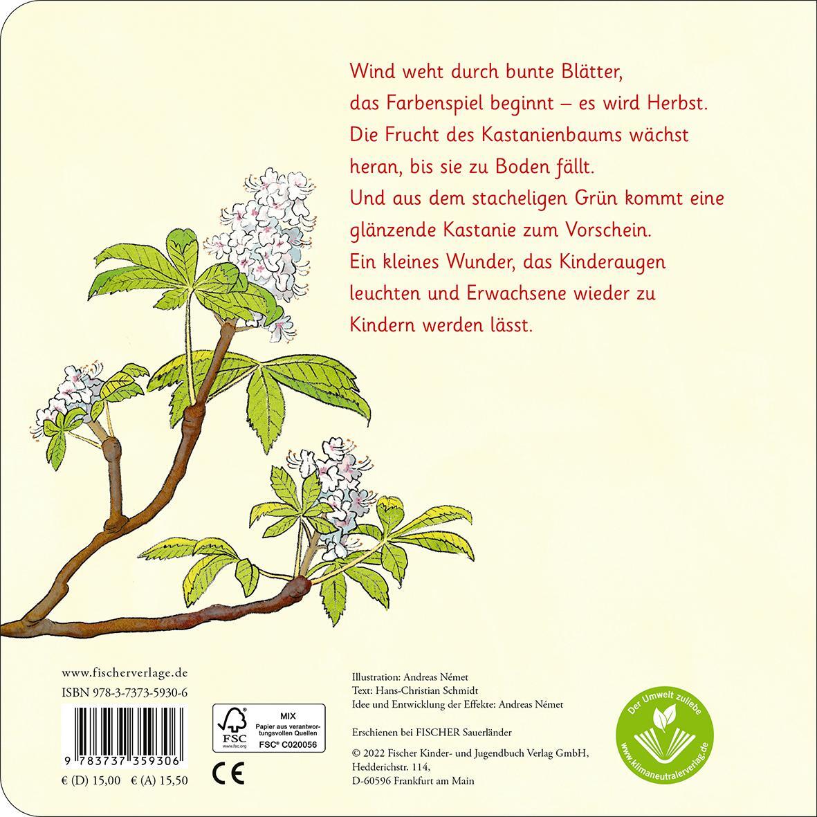 Rückseite: 9783737359306 | Das Kastanienwunder | Hans-Christian Schmidt | Buch | 12 S. | Deutsch
