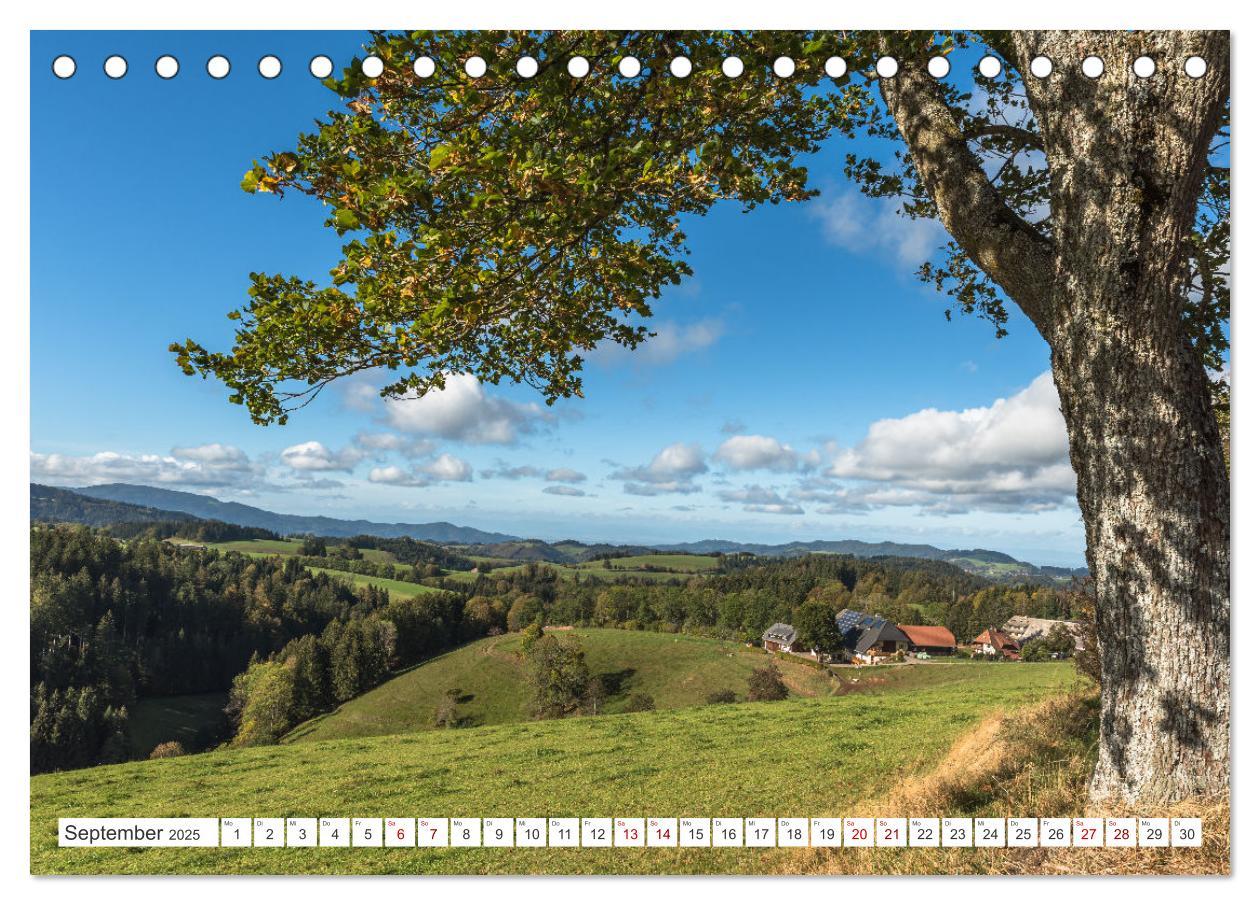 Bild: 9783435691272 | Schwarzwald (Tischkalender 2025 DIN A5 quer), CALVENDO Monatskalender