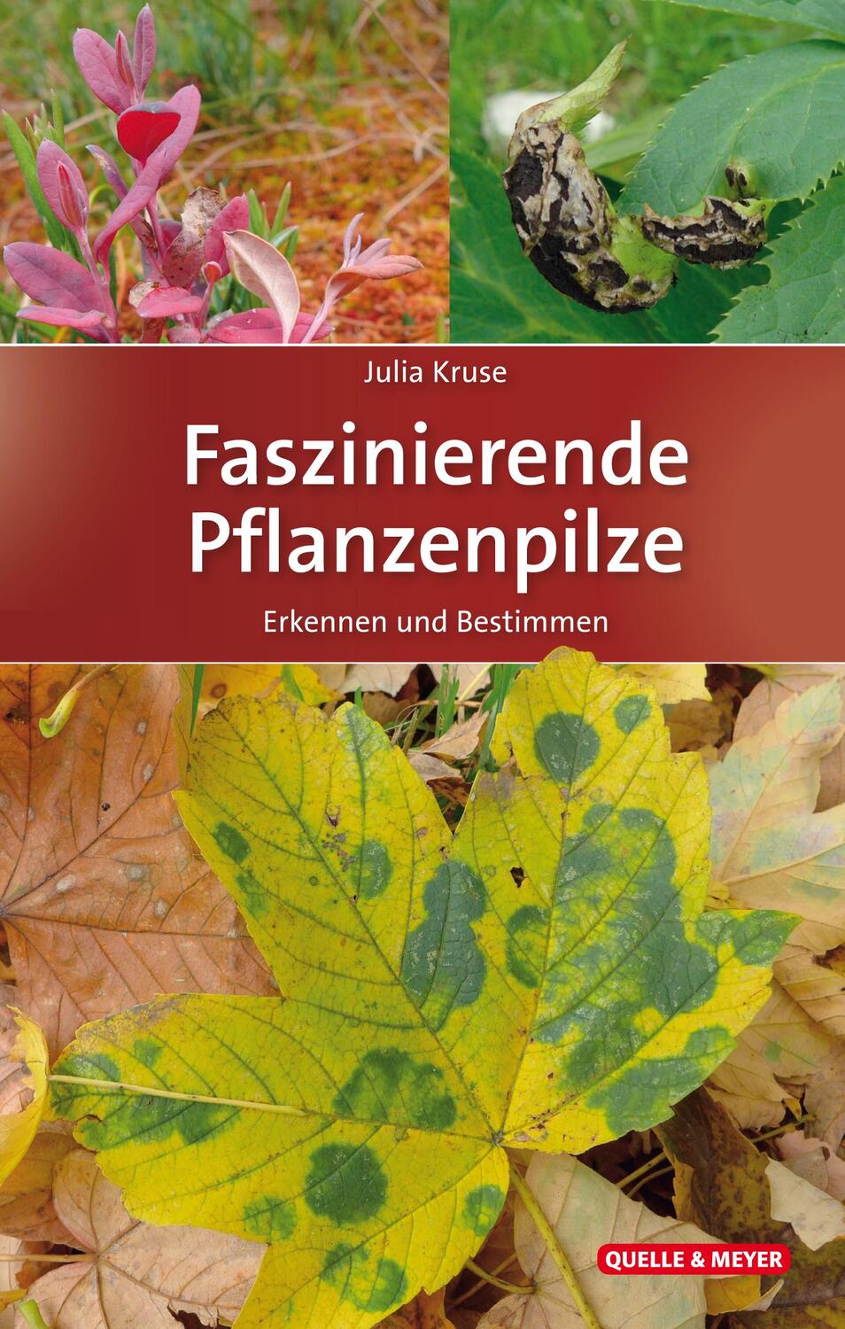 Cover: 9783494017808 | Faszinierende Pflanzenpilze | Erkennen und Bestimmen | Julia Kruse